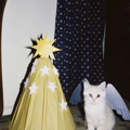 Gwendolyn