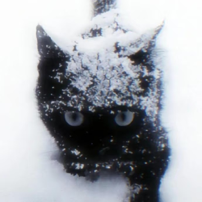 neiko
