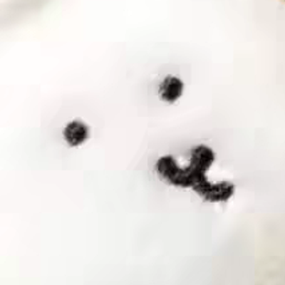 Kawahis_800
