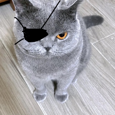 wishuhappy